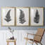 «Forest Fern I», reproduction encadrée de qualité supérieure, prête à être accrochée-69981987-69981988