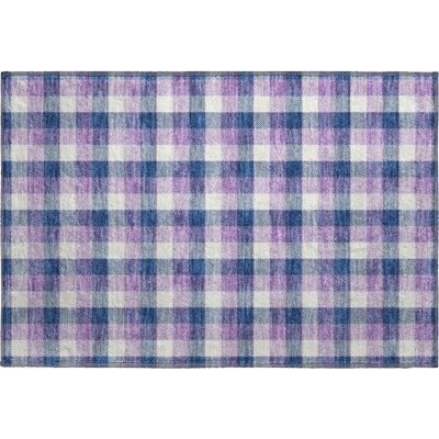 Premium Machine Washable Crumley AMF1053 Plaid Rug