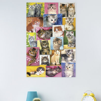 Impression sur papier 2 chatons