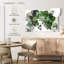 Plante grasse Harnek-107889057