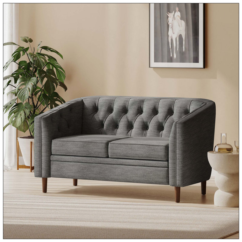 Tahisa Loveseat, Sofa, Sleeper Sofa, Loveseat, Modern Sofa, Living Room Sofa, Charcoal 