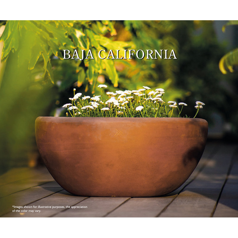 Baja California, Brown