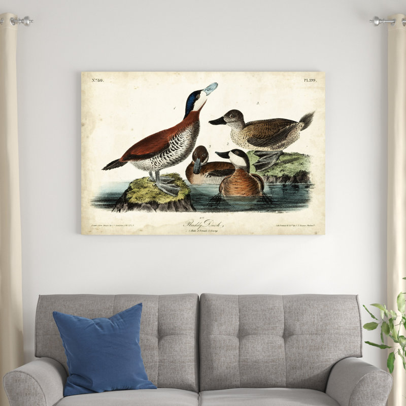 Audubon Ducks II, H 32 po x l 48 po x P 1,25 po