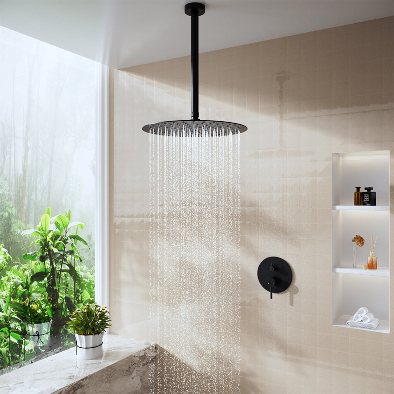 Pomme de douche rectangulaire 12 po en acier inoxydable 12 po ajustable à 360 degrés 0,08 po, Noir mat