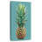 Crowned Pineapple-1582838839