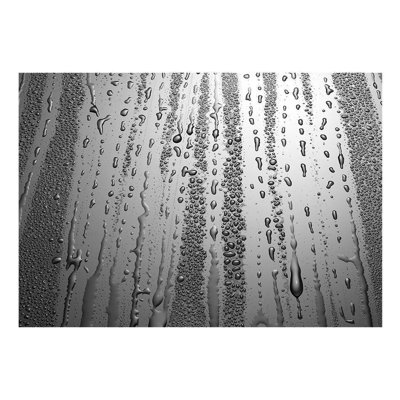 Kirpal Summer Drizzle Wall Mural