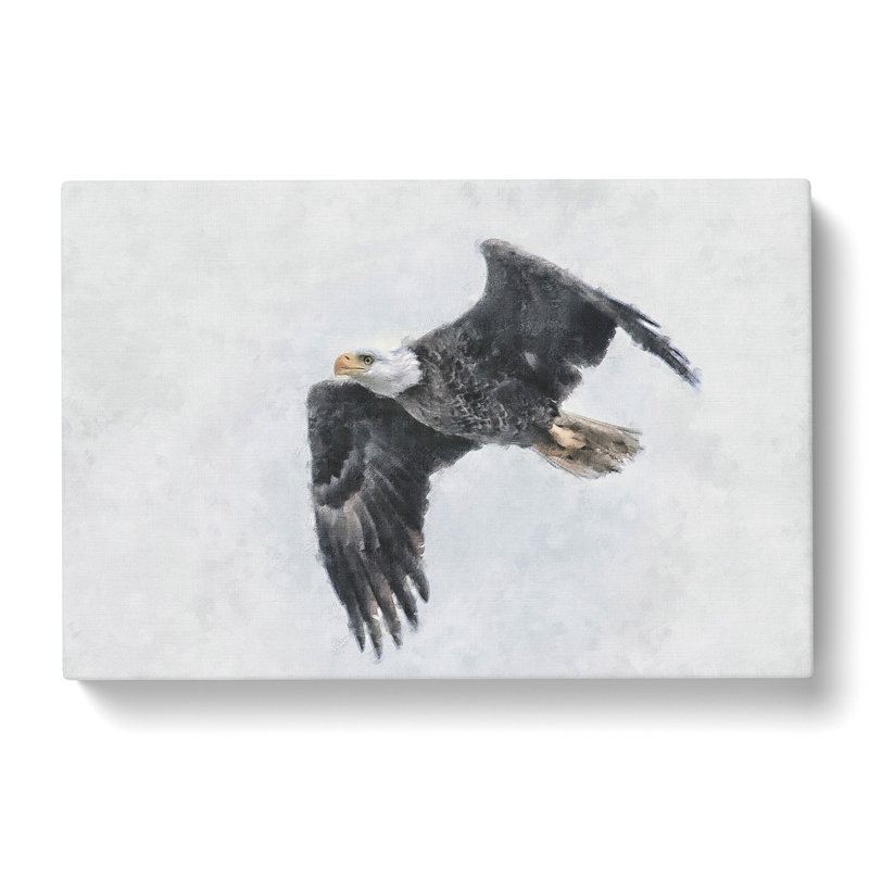 Bald Eagle High In The Sky - Wrapped Canvas Painting, 60cm H x 91cm W x 3cm D