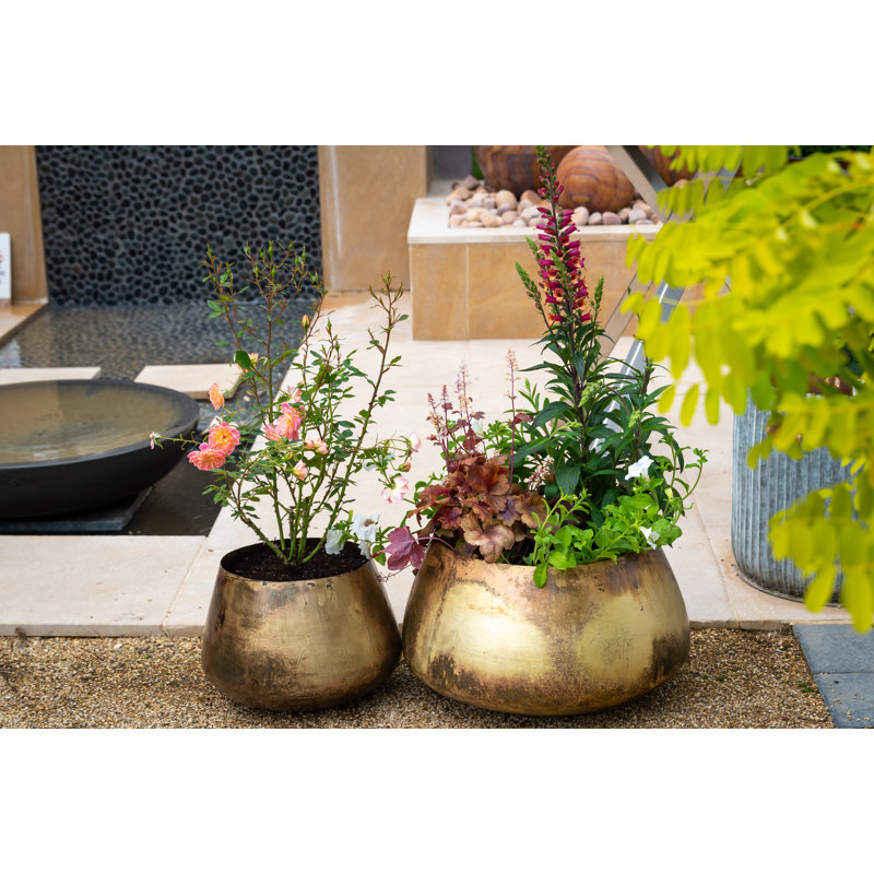 Pelaez Metal Pot Planter, 32cm H x 54cm W x 54cm D