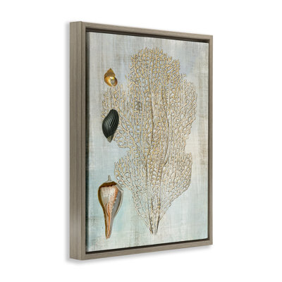 Detailed Coral & Seashells Floating Frame, design by Susan Arnot