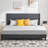 Yeudiel Upholstered Platform Bed-1717604740-1717596576