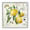 «Vintage Lemon Blossoms», art de la giclée encadrée par Nan