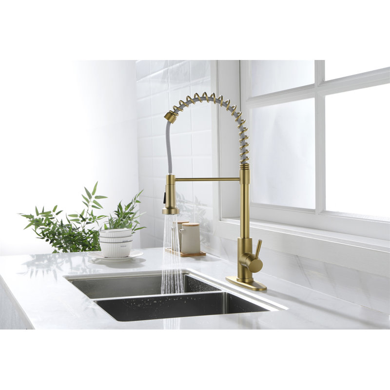 Kitchen Faucet With Pull Out Spraye
