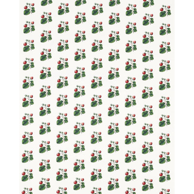 Schumacher x Johnson Hartig Strawberry Hill Fabric