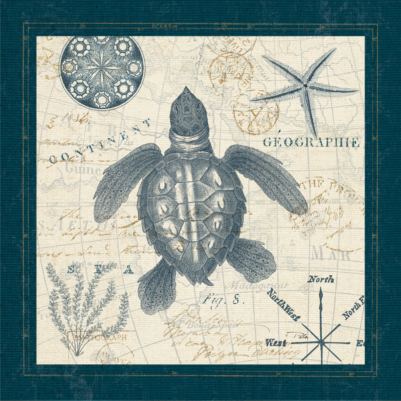 Ocean Life VI - Wrapped Canvas Painting, 51cm H x 51cm W