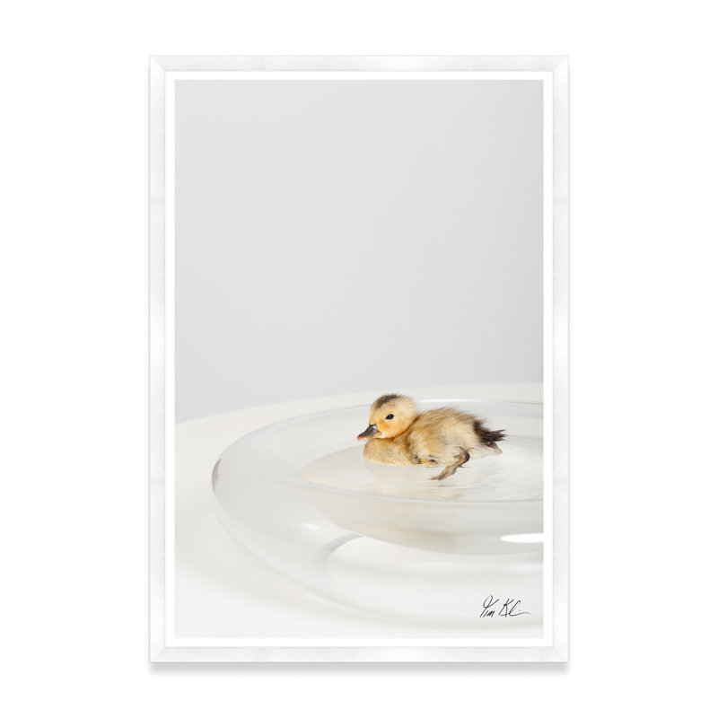 Étang de canard, H 54,75 po x l 37,5 po x P 1,5 po, Lustre photo encadré, Cadre blanc