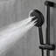 Pomme de douche Elin