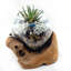 Terrarium en verre fondu avec bois de teck naturel benedicte-998180519