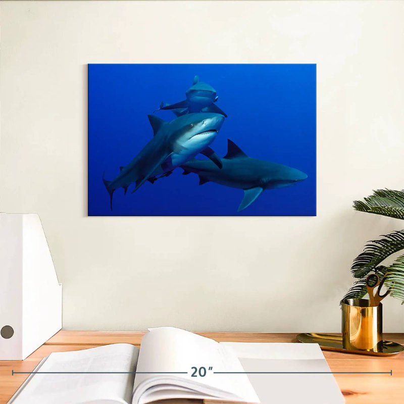 Triple Sharks, 8" H x 12" W
