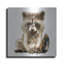Luxe métal Art «Ricky Racoon» par Kim Curationa, Meta «Ricky Racoon» par Kim Curationa-101680528