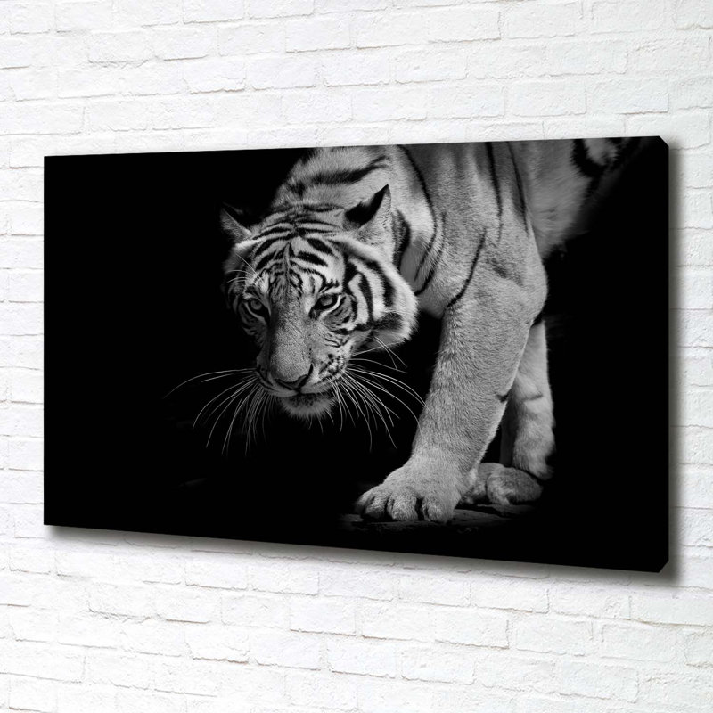 Tiger - Wrapped Canvas Print
