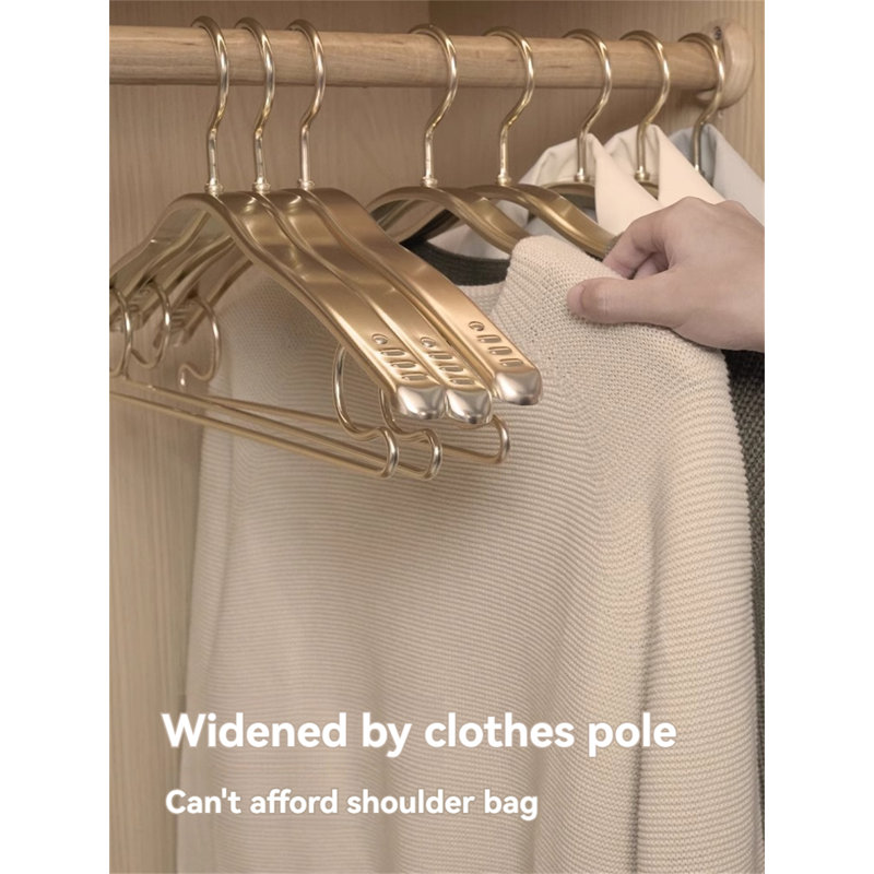 Space Aluminum Alloy Clothes Hanger, 20