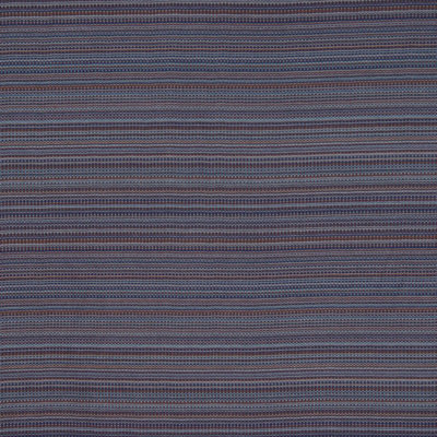 Allure Fabric