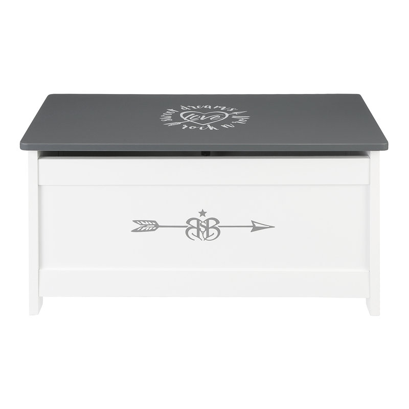 Rock Star Baby Toy Box
