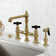 Duchess Double Handle Kitchen Faucet with Side Spray