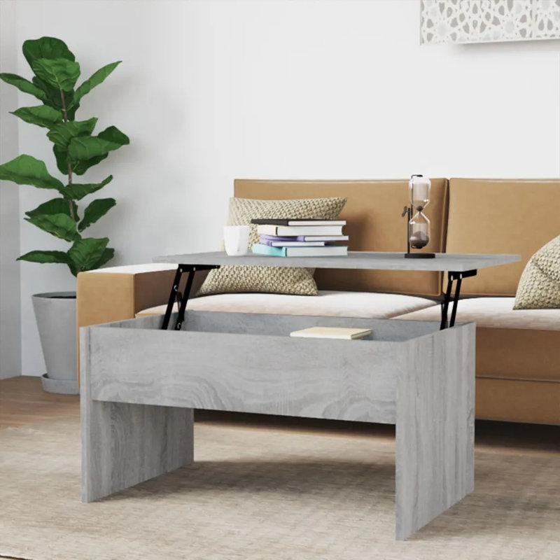 Silverlock Lift Top Coffee Table with Storage, Grey Sonoma