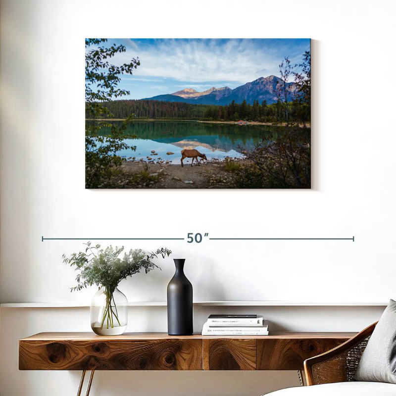 Orignal sauvage du parc Jasper, H 24 po x l 36 po