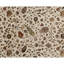 Chantel One-of-a-Kind 9' X 11'9" Area Rug