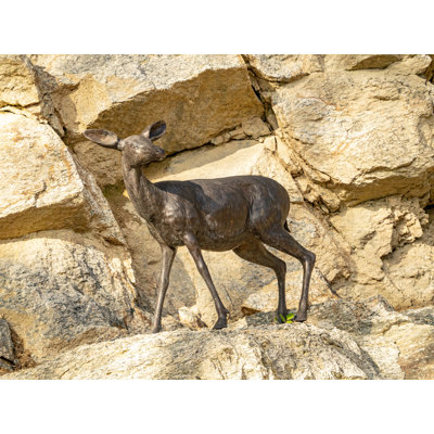 Statue de biche en bronze Bradeord
