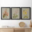 «Botanical Array I», ensemble de 3 impressions sur toile encadrées-1436849548-1436849648