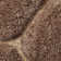Noble House area rug Hand Tufted Rectangle Beige