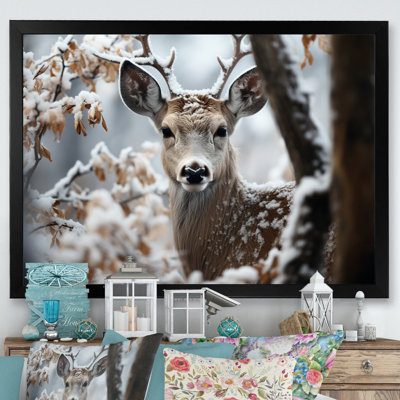 Winter Deer Monochrome Photography I - Deer Wall Art