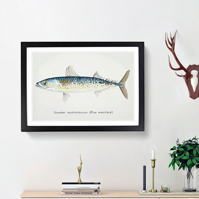 An Illustration of a Blue Mackerel 1 Piece Single Picture Frame Painting