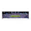 Buffalo Bills, dernier match au Highmark Stadium - 4 janvier 2026 - Cadre standard-988709454