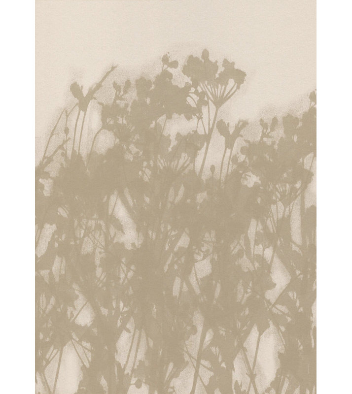 Pré sauvage, Blanc