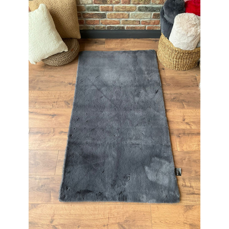 Dobney Premium Anthracite Carpet (2.5 x 3.3 Feet), 100% Polyester, 0.2 Inches Thick | Antibacterial & Machine Washable at 30°C | Soft, Durable, Ideal for Home & Office Decor, Easy to Clean & Maintain