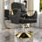 Hydraulic Salon Chair (Single Pack)