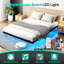 Structure de lit flottante double-106844032
