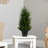 18in. Cedar Artificial Tree with LED Lights UV Resistant (Indoor/Outdoor)
