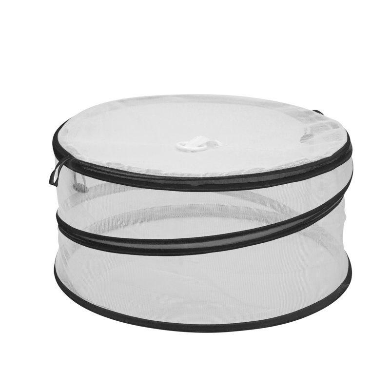 Couvercle pour aliments pop-up Kitchen