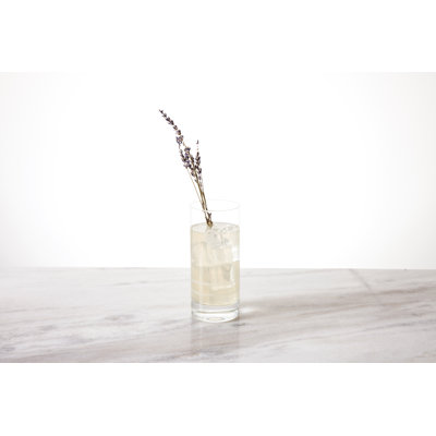 Crafthouse Signature Collection 16.2oz. Highball Glass Set