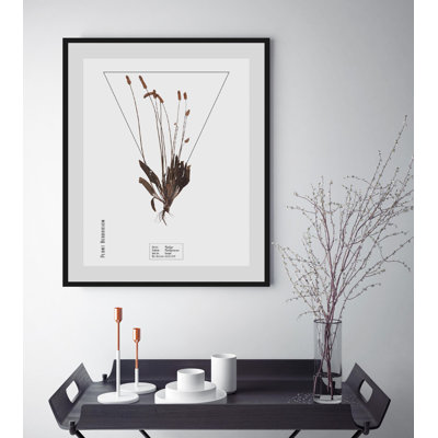 Plant - Single Picture Frame Print