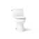 Santa Rosa Comfort Height One-Piece Compact Elongated 1.28 Gpf Toilet With Revolution 360 Swirl Flushing Technology And Continuousclean St