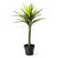 90cm Faux Evergreen Plant in Pot Liner