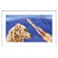 Dog Watches Takeoff - Print on Canvas-20115911