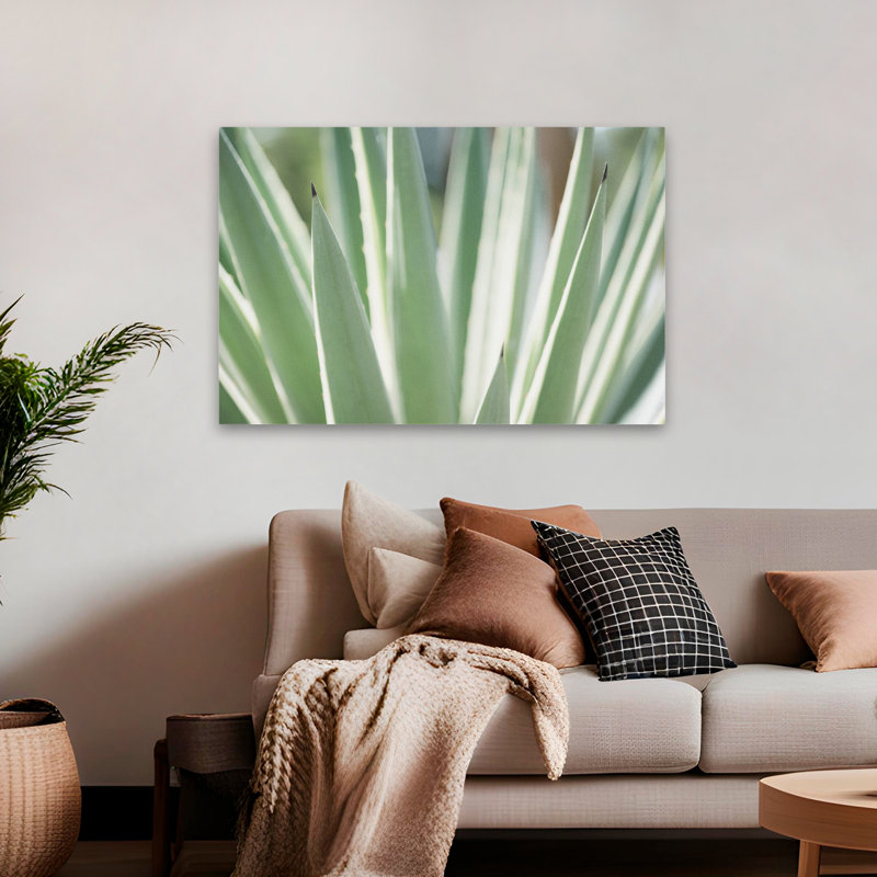 Plantes, fleurs, paysage, nature, abstrait, rêves succulents, art mural, H 32 po x l 48 po