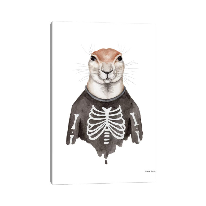 Xerus In An Xray Shirt by Rachel Nieman - Gallery-Wrapped Canvas Giclée on Canvas, 20.32 cm H x 30.48 cm W, Canvas